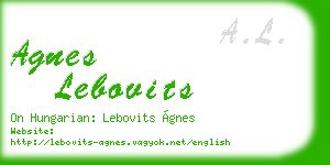 agnes lebovits business card